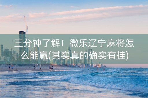 三分钟了解！微乐辽宁麻将怎么能赢(其实真的确实有挂)