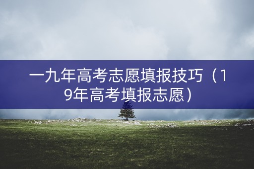 一九年高考志愿填报技巧（19年高考填报志愿）
