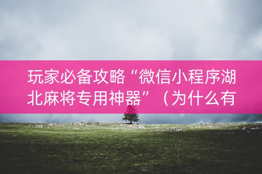 玩家必备攻略“微信小程序湖北麻将专用神器”（为什么有人一直赢)