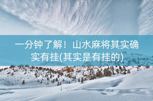 一分钟了解！山水麻将其实确实有挂(其实是有挂的)