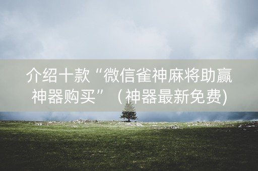 介绍十款“微信雀神麻将助赢神器购买”（神器最新免费)