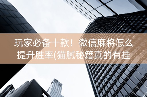 玩家必备十款！微信麻将怎么提升胜率(猫腻秘籍真的有挂)