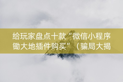 给玩家盘点十款“微信小程序锄大地插件购买”（骗局大揭秘)