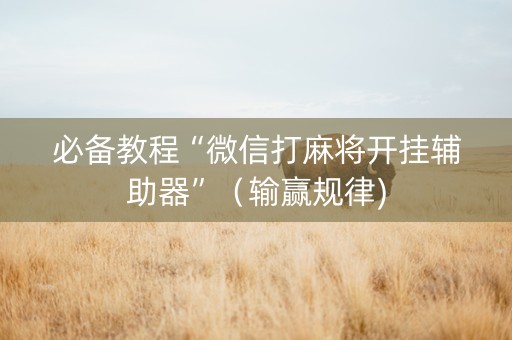 必备教程“微信打麻将开挂辅助器”（输赢规律)