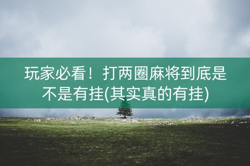 玩家必看！打两圈麻将到底是不是有挂(其实真的有挂)