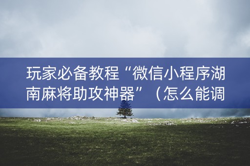 玩家必备教程“微信小程序湖南麻将助攻神器”（怎么能调好牌)