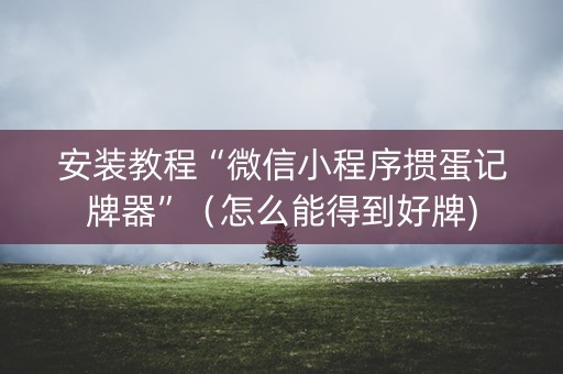 安装教程“微信小程序掼蛋记牌器”（怎么能得到好牌)