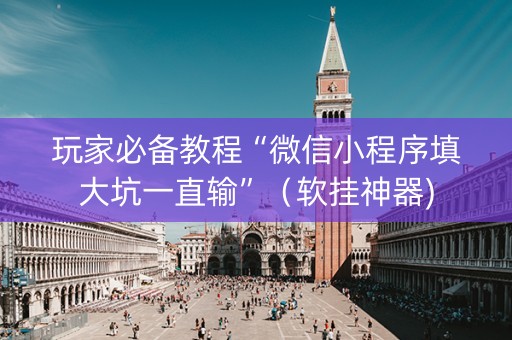 玩家必备教程“微信小程序填大坑一直输”（软挂神器)