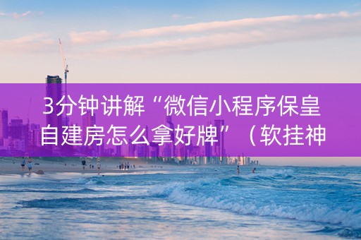 3分钟讲解“微信小程序保皇自建房怎么拿好牌”（软挂神器)