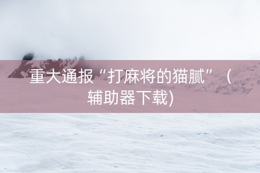 重大通报“打麻将的猫腻”（辅助器下载)