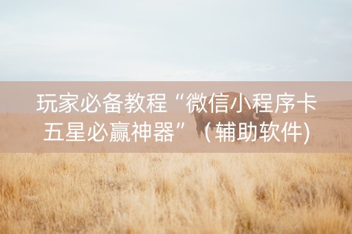 玩家必备教程“微信小程序卡五星必赢神器”（辅助软件)