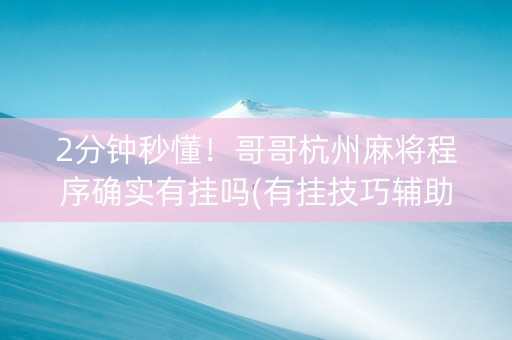2分钟秒懂！哥哥杭州麻将程序确实有挂吗(有挂技巧辅助器)