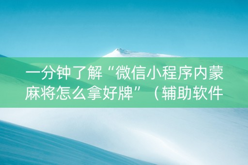 一分钟了解“微信小程序内蒙麻将怎么拿好牌”（辅助软件)