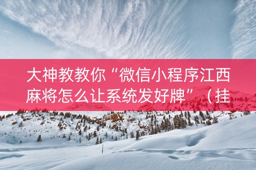 大神教教你“微信小程序江西麻将怎么让系统发好牌”（挂件神器)