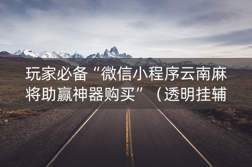 玩家必备“微信小程序云南麻将助赢神器购买”（透明挂辅助器)