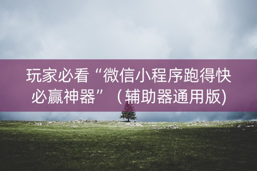 玩家必看“微信小程序跑得快必赢神器”（辅助器通用版)
