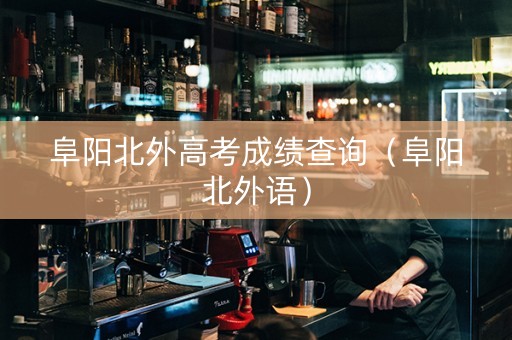 阜阳北外高考成绩查询（阜阳北外语）
