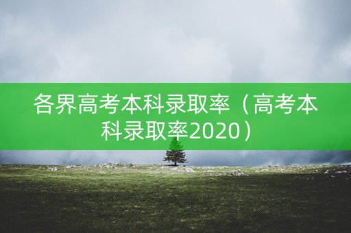 各界高考本科录取率（高考本科录取率2020）