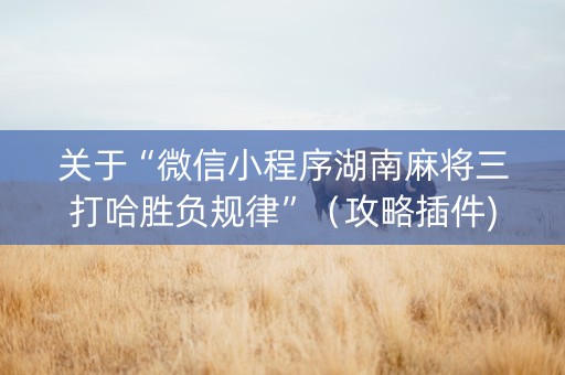 关于“微信小程序湖南麻将三打哈胜负规律”（攻略插件)