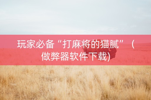 玩家必备“打麻将的猫腻”（做弊器软件下载)