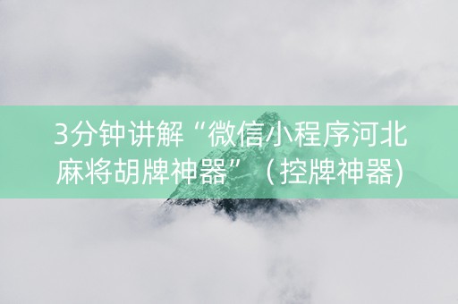 3分钟讲解“微信小程序河北麻将胡牌神器”（控牌神器)