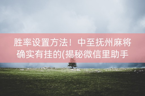 胜率设置方法！中至抚州麻将确实有挂的(揭秘微信里助手软件)