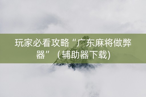 玩家必看攻略“广东麻将做弊器”（辅助器下载)