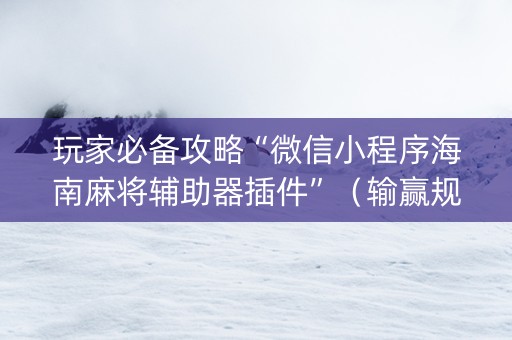玩家必备攻略“微信小程序海南麻将辅助器插件”（输赢规律)