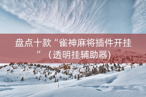 盘点十款“雀神麻将插件开挂”（透明挂辅助器)