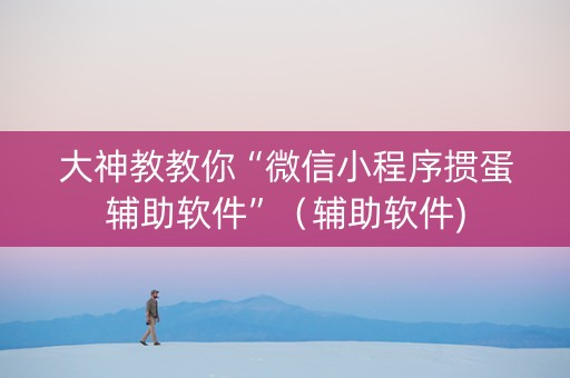大神教教你“微信小程序掼蛋辅助软件”（辅助软件)