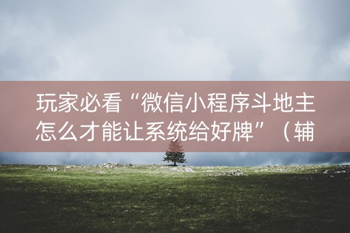 玩家必看“微信小程序斗地主怎么才能让系统给好牌”（辅牌器插件购买)