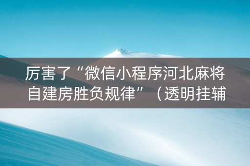 厉害了“微信小程序河北麻将自建房胜负规律”（透明挂辅助器)
