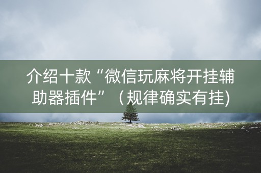 介绍十款“微信玩麻将开挂辅助器插件”（规律确实有挂)