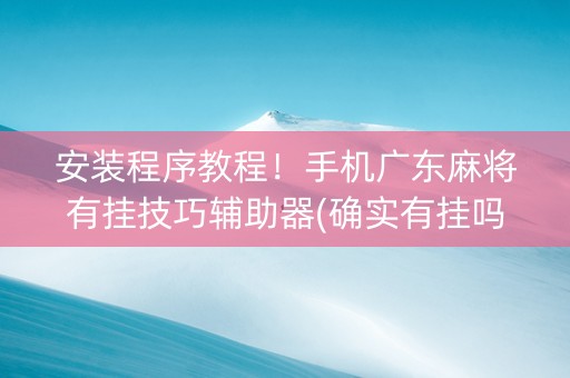 安装程序教程！手机广东麻将有挂技巧辅助器(确实有挂吗)
