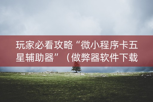 玩家必看攻略“微小程序卡五星辅助器”（做弊器软件下载)