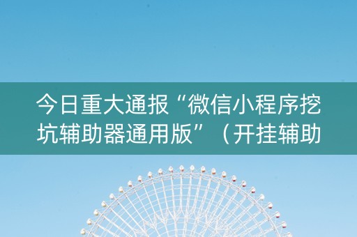 今日重大通报“微信小程序挖坑辅助器通用版”（开挂辅助插件)