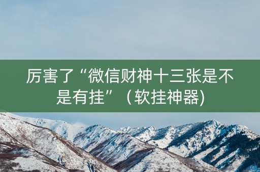 厉害了“微信财神十三张是不是有挂”（软挂神器)
