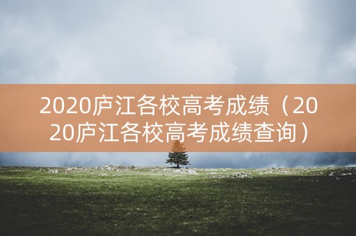 2020庐江各校高考成绩（2020庐江各校高考成绩查询）