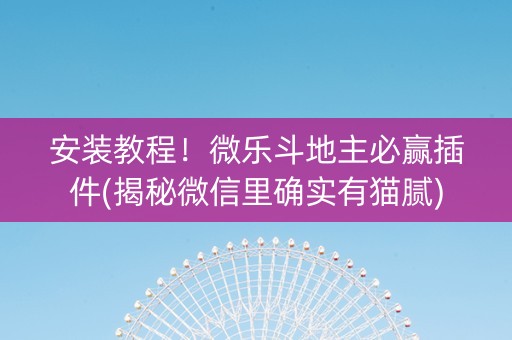 安装教程！微乐斗地主必赢插件(揭秘微信里确实有猫腻)