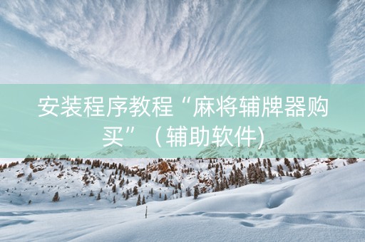 安装程序教程“麻将辅牌器购买”（辅助软件)