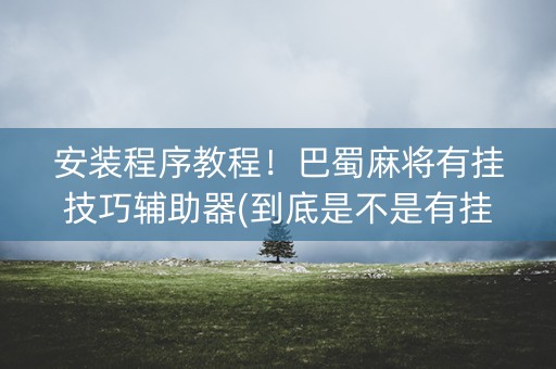安装程序教程！巴蜀麻将有挂技巧辅助器(到底是不是有挂)