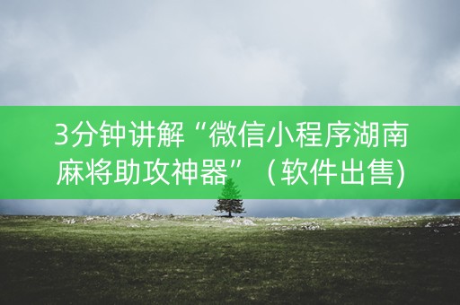 3分钟讲解“微信小程序湖南麻将助攻神器”（软件出售)