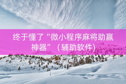 终于懂了“微小程序麻将助赢神器”（辅助软件)