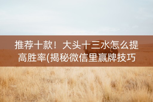 推荐十款！大头十三水怎么提高胜率(揭秘微信里赢牌技巧)