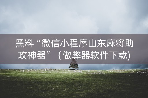黑料“微信小程序山东麻将助攻神器”（做弊器软件下载)