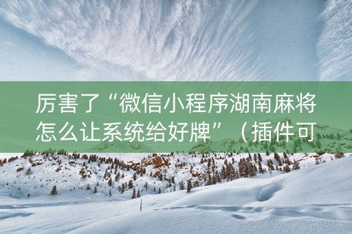 厉害了“微信小程序湖南麻将怎么让系统给好牌”（插件可信吗)