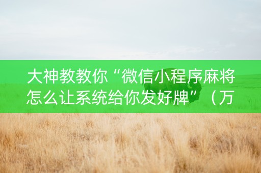 大神教教你“微信小程序麻将怎么让系统给你发好牌”（万能开挂神器)