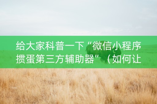 给大家科普一下“微信小程序掼蛋第三方辅助器”（如何让系统发好牌)
