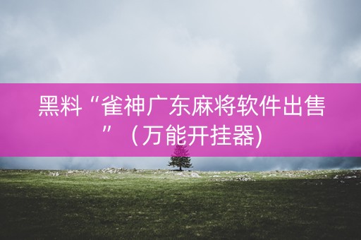 黑料“雀神广东麻将软件出售”（万能开挂器)