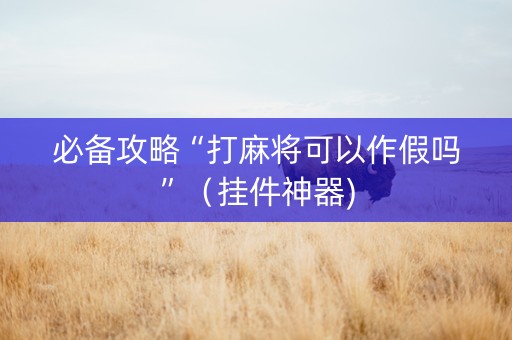 必备攻略“打麻将可以作假吗”（挂件神器)